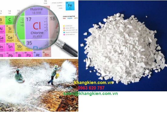 downloaded clo trong nuoc khangkien com vn 5fe9a56d74968