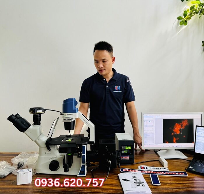 Kính hiển vi soi ngược kết hợp phản pha